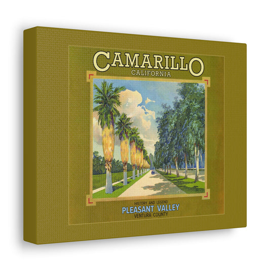 Canvas of Camarillo Palms & Eucalyptus (Old 101 FWY)
