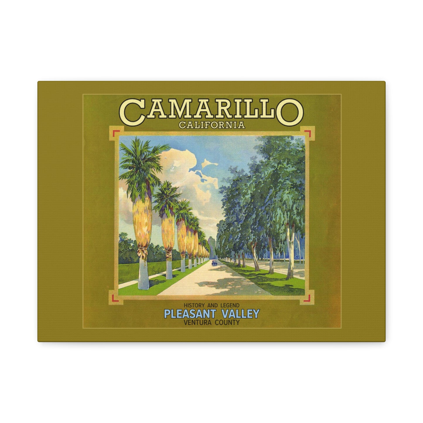 Canvas of Camarillo Palms & Eucalyptus (Old 101 FWY)