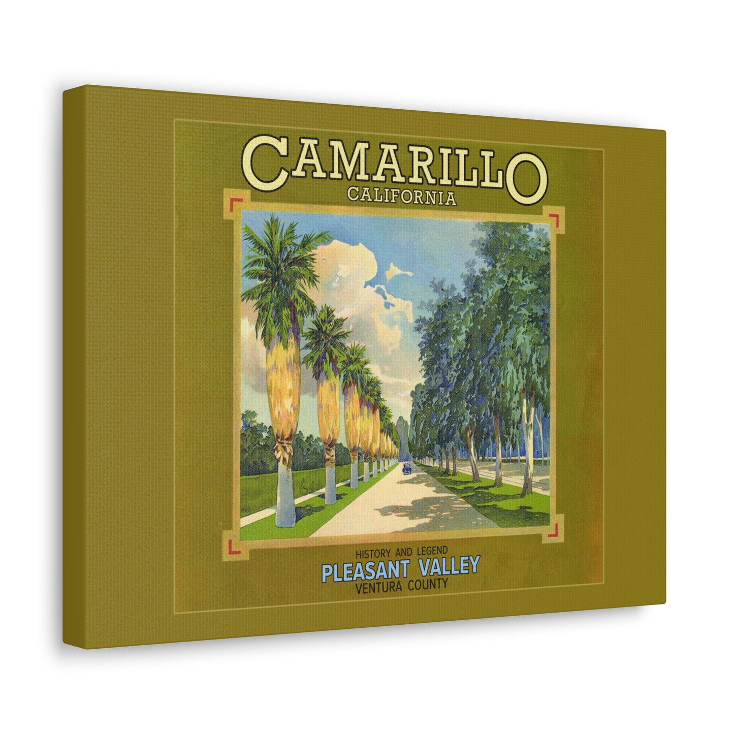 Canvas of Camarillo Palms & Eucalyptus (Old 101 FWY)