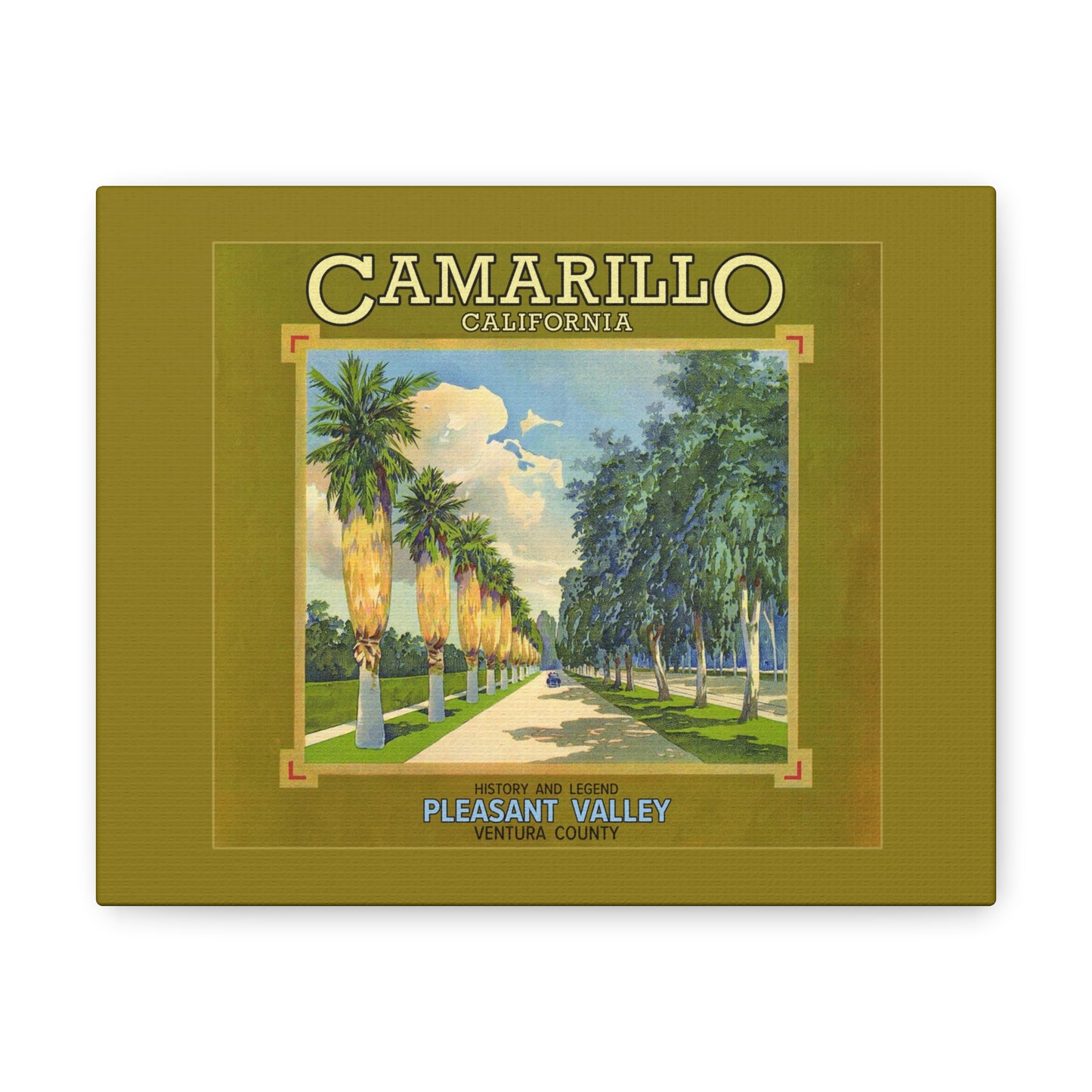 Canvas of Camarillo Palms & Eucalyptus (Old 101 FWY)